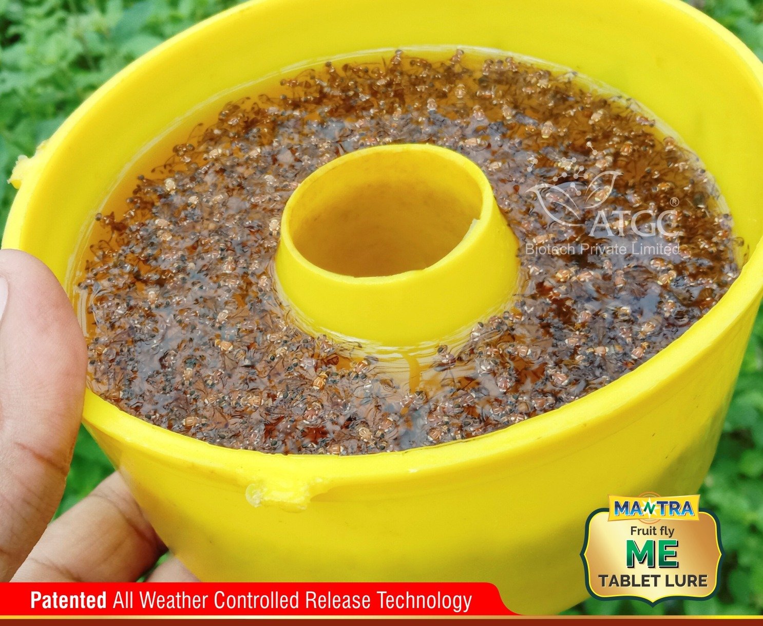 MANTRA ME- Fruit Fly Tablet Lure - Image 2